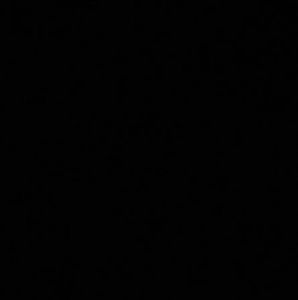 Meet your Posher, Lilliana